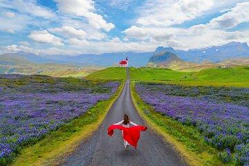 Snæfellsnes Peninsula Tour in Chinese