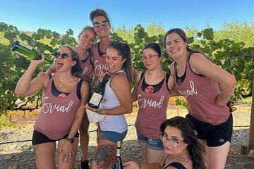 Verde Valley Private Wine Tasting Tour