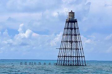 Eco Conscious Reef Diving with Southpoint Divers