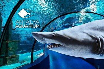 Antalya Aquarium Wax Museum, Snow World, Wild Park & XD Cinema