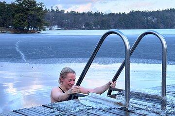 Sauna, Icebathing and Swedish Julbord - Christmas Buffé