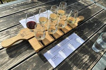 Waipara Wine Trail Private Group Tour From Christchurch