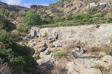 Discover Nizwa and Jabel Akhdar Mountain
