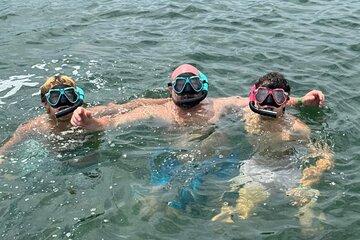 Private 4 Hour Snorkel and Sandbar Charter in Islamorada