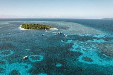 Explore Green Island with Diving options from Cairns