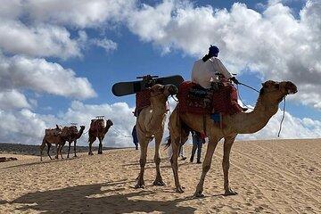 Timlalin Dunes– Camel Ride, Quad Biking & Sandboarding Experience