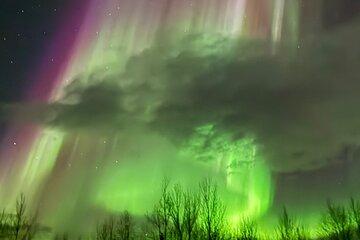 Northern Light Minibus Hunt to Abisko National Park