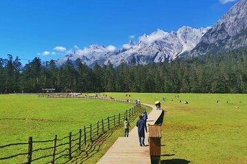 1 Day Lijiang Yulong Snow Mountain and Dongba Culture Tour