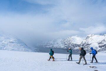 From Tromsø with Snowshoe Hike and Local Guides