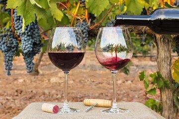 Burgundy Private Shore Tour from Dijon Cruise Port