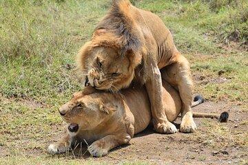 13 Days Southern Safari and Kilwa Beach