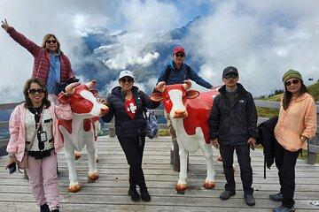 4 Days Swiss Alps Tour Zermatt, Jungfrau Region and Hidden Gems