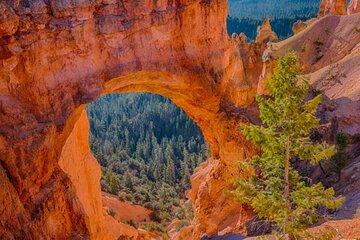 3 Day Tour to Bryce Canyon National Park