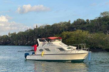 Exclusive Transfer to Tortuga Bay Beach