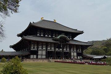 Osaka and Nara tours