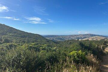 Wellington: Wild Skyline Hike with Lunch and Private Transfers