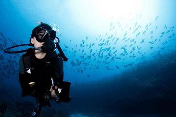 Hurghada Diving Trip, Snorkeling and Lunch
