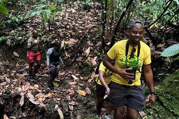 Scenic Hiking Trail Adventure of Montserrat