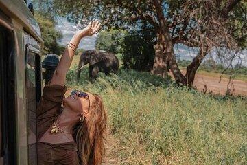 6-Day Tanzania Safari to Tarangire, Serengeti & Ngorongoro Crater