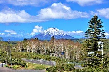 National Park Day Hike from Sapporo by Private Car