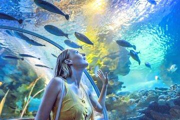 Dubai Aquarium and Underwater Zoo Admission Ticket