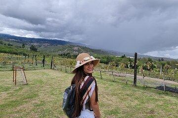 Vineyard Tour from Villa de Leyva Wine Tasting and Scenic Views
