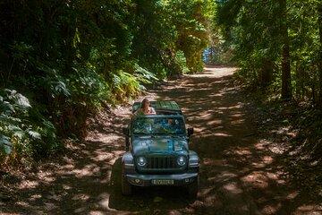 Private Off Road Tour in East DA Madeira