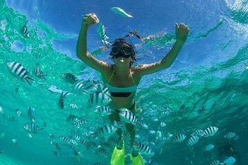 Muscat Omani Dhow Cruise and Snorkeling Tour