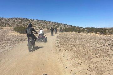 ATV Rentals Thrilling Desert Adventures