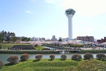 Full Day Private Hakodate Shore Tour with Local Guide