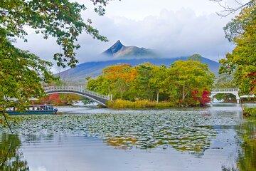 Full Day Private Shore Tour Hakodate Highlights by Van