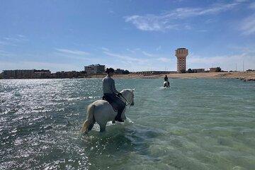 2-Hour Horse Riding in the Desert and by the Sea