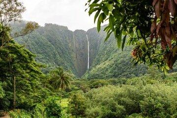 VIP Private Limousine Tour: Scenic Oahu Island Sites