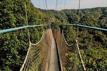 Kigali Rwanda Zip Line Adventure Tour