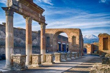 Pompeii Tickets with a Guidebook