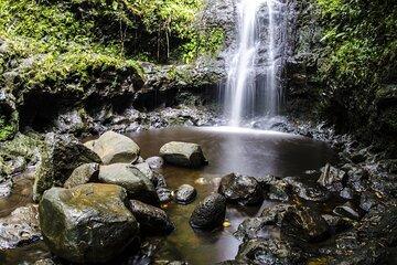 VIP Waimea Falls and Hiking Tour with Limousine Transport
