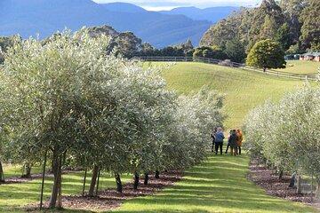 Santa Ynez Farm Tour