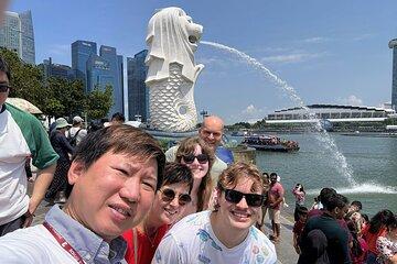 Singapore: Customized Private Tours With Transportation