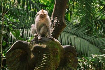 Ubud Highlights Private Tour All Inclusive with Jungle Swing