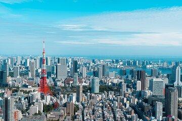 Luxury Private Tokyo Tour
