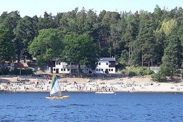 10 Hours Lake Mälaren Villages Day Trip from Stockholm