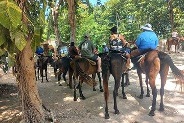 Horse Back Riding in Ocho Rios