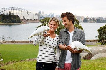 Sydney Darling Harbour Private Tour with Transportation