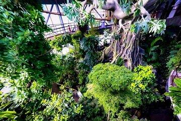 Green Planet Dubai City Experience Ticket