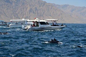 Muscat Marina Boat Tour Experience with the Dolphins