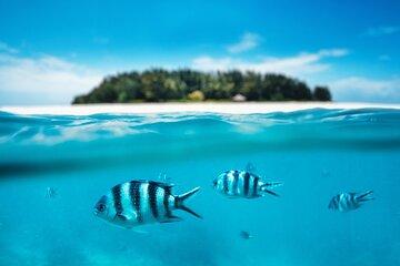 Catalina Island Even more unspoilt than Saona
