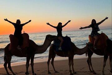 Tangier Sunset Camel ride on Achakkar Beach