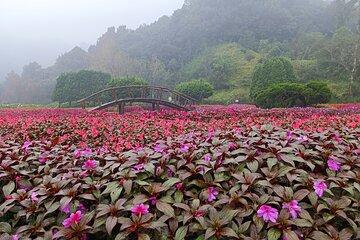 Private Doi Inthanon National Park Full Day Tour