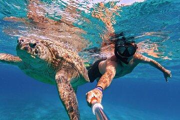 Marsa Alam Snorkeling with Sea Turtles Marsa Mubarak