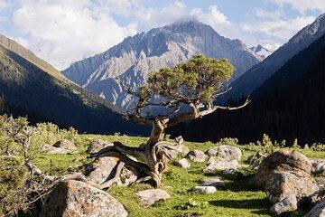 9 Day Kazakhstan and Kyrgyzstan Adventure Hot Springs and Lakes